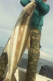 Night Fishing in Melaka Straits