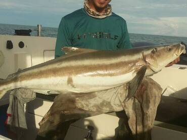 It travels in a group, we got loose the other.