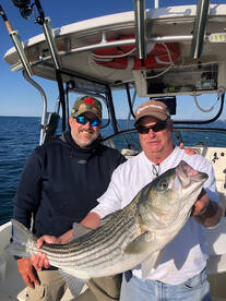 The Bite Is On Fire!