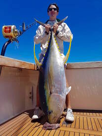 Yellowfin Fever in Vanuatu