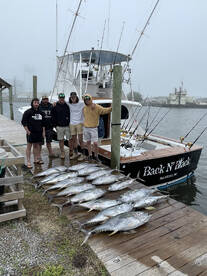Tuna Fishing