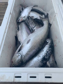 Your box of fish are waiting for YOU