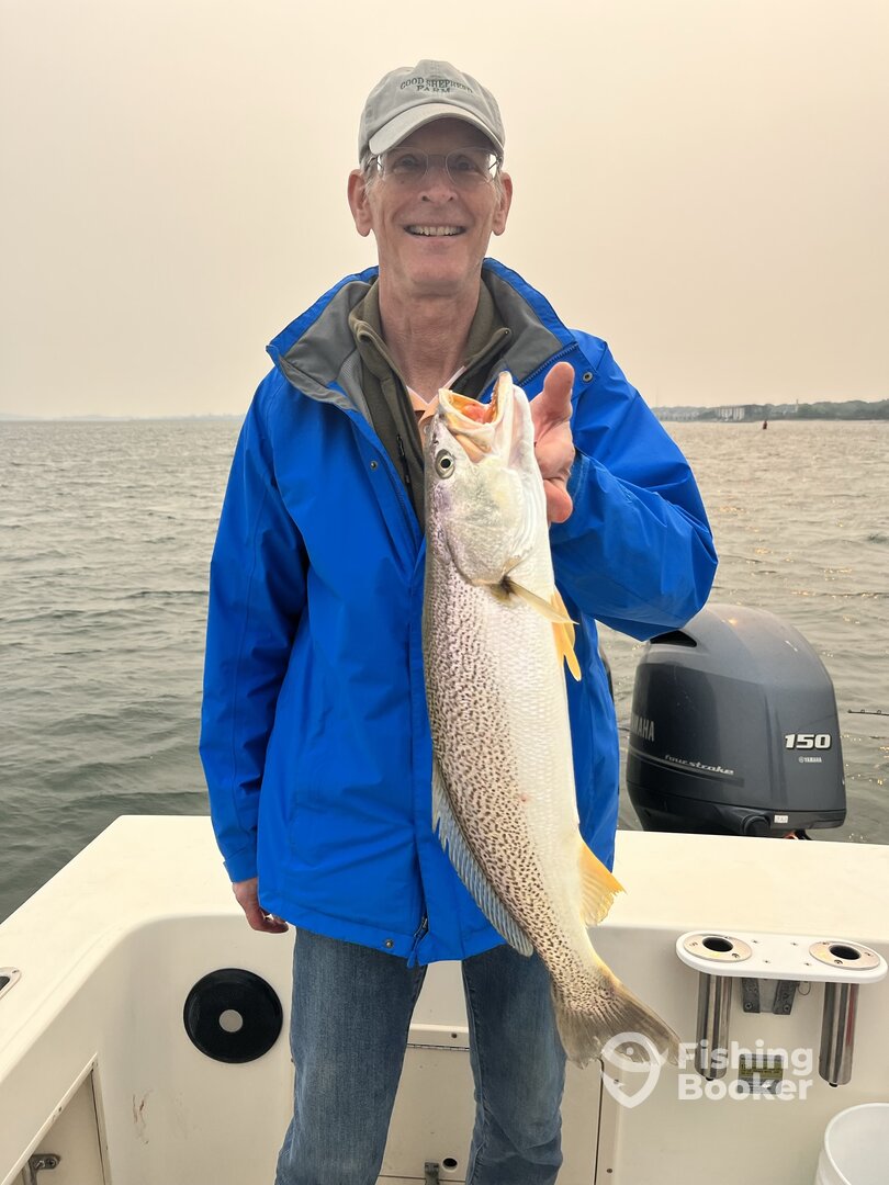 Southold Report Photo 0