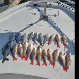 Grant-Valkaria Report Photo 2