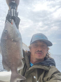 White Grunts are biting! 