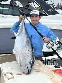 Bluefin Season is here!