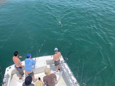 Nags Head Report Photo 2