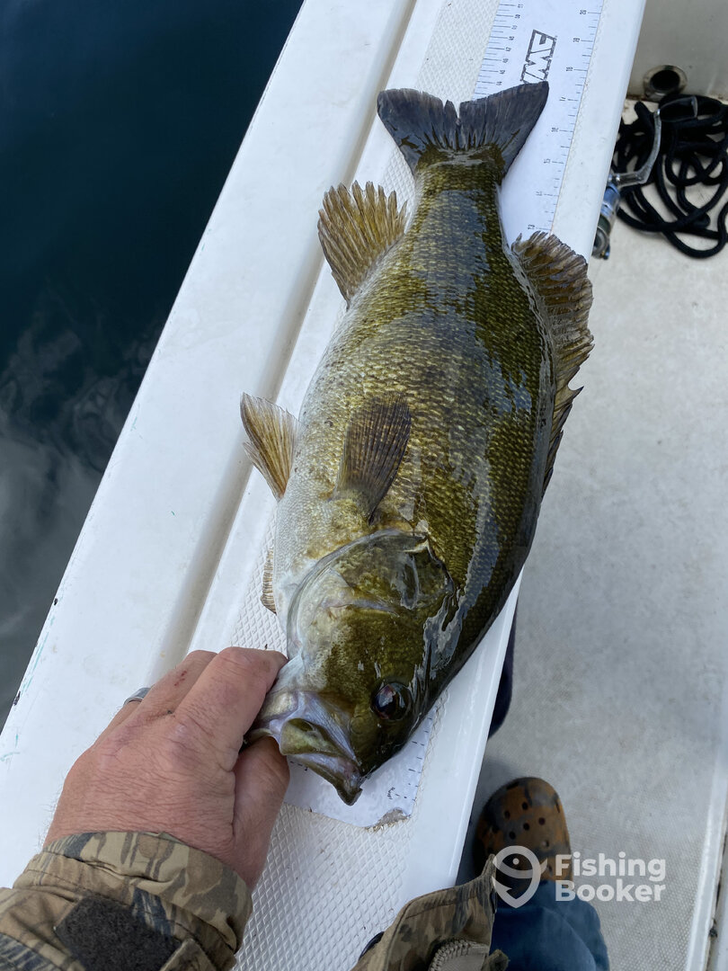 Plattsburgh Report Photo 0