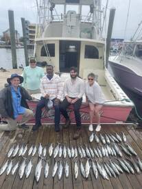 Spanish Mackerel are snapping
