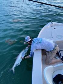 June and the tarpon are still biting!