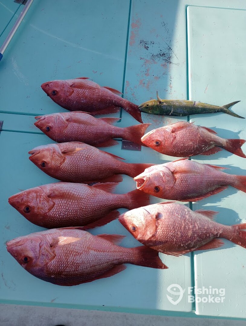Destin Report Photo 0