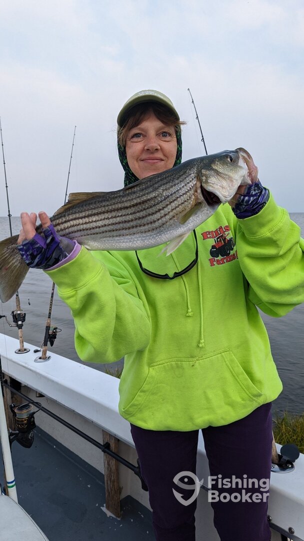 Crisfield Report Photo 0