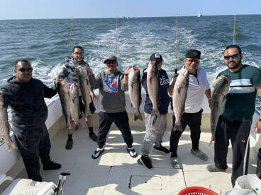 Striped bass all day