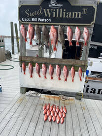 Destin Report Photo 1