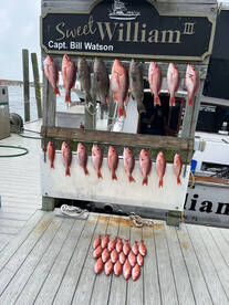 Destin Report Photo 2