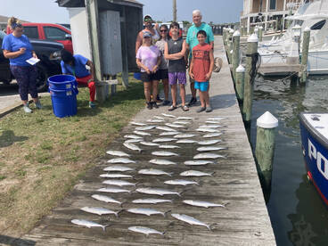 Nags Head Report Photo 2