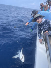 Destin Report Photo 2