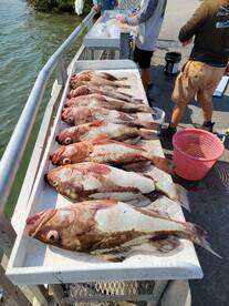Clearwater Report Photo 2