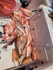Clearwater Report Photo 1