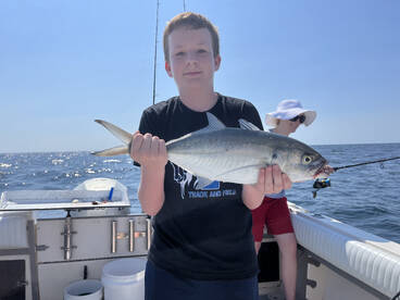 Palm Coast Report Photo 2
