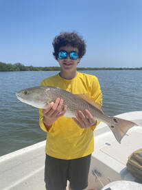 New Smyrna Beach Report Photo 1