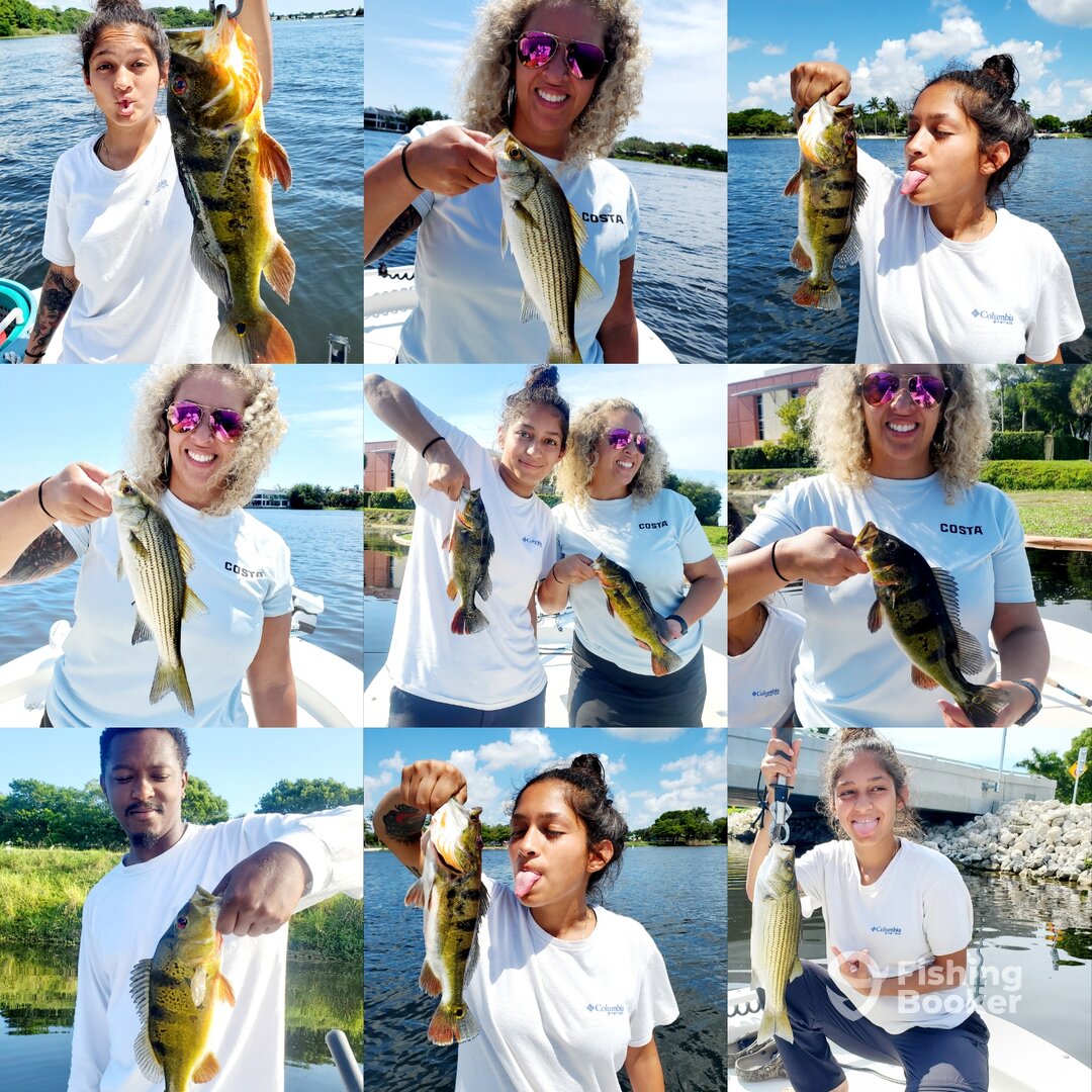 Delray Beach Report Photo 0