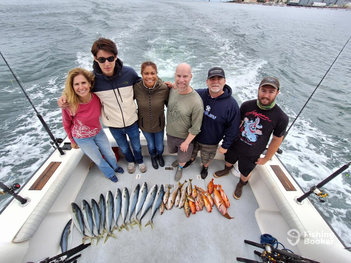 Yellowtail