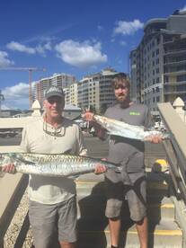 Naples Report Photo 1