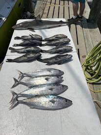 Swansboro Report Photo 2