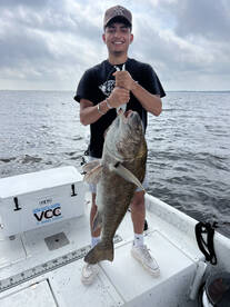 Monster bridge trolls