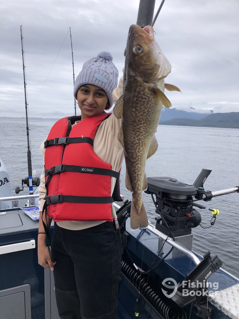 Pacific cod 