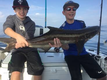 New Smyrna Beach Report Photo 1