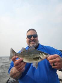 Cicero Report Photo 4