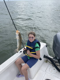 Dauphin Island Report Photo 2