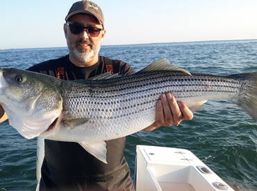 Great Striper Fishing