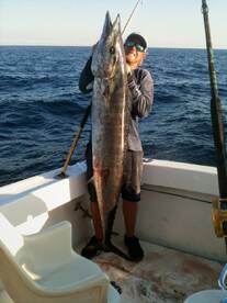 Late Spring Action on Good Hit Sportfish