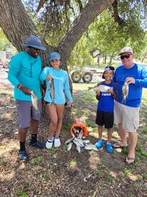 Bell County Report Photo 3