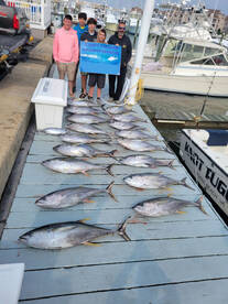 Spring time tuna limits! 