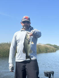 Bethel Island Report Photo 1