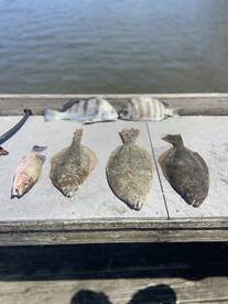 Palm Coast Report Photo 2