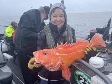 Garibaldi Report Photo 2