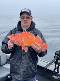 Garibaldi Report Photo 1