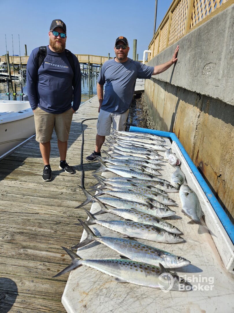 Wilmington Report Photo 0