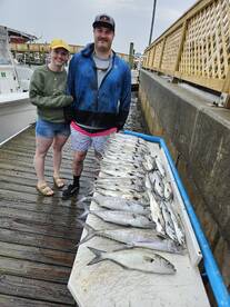 Spanish mackerel blitz 