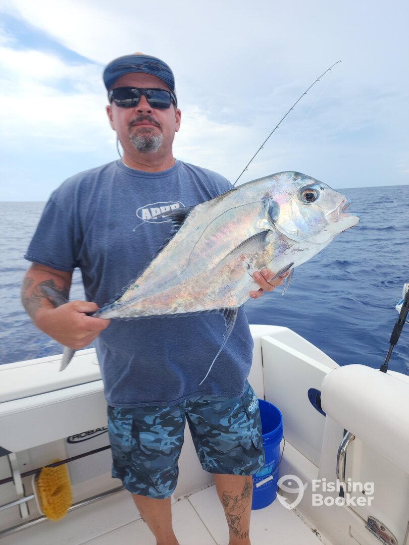 Palmetto Report Photo 0