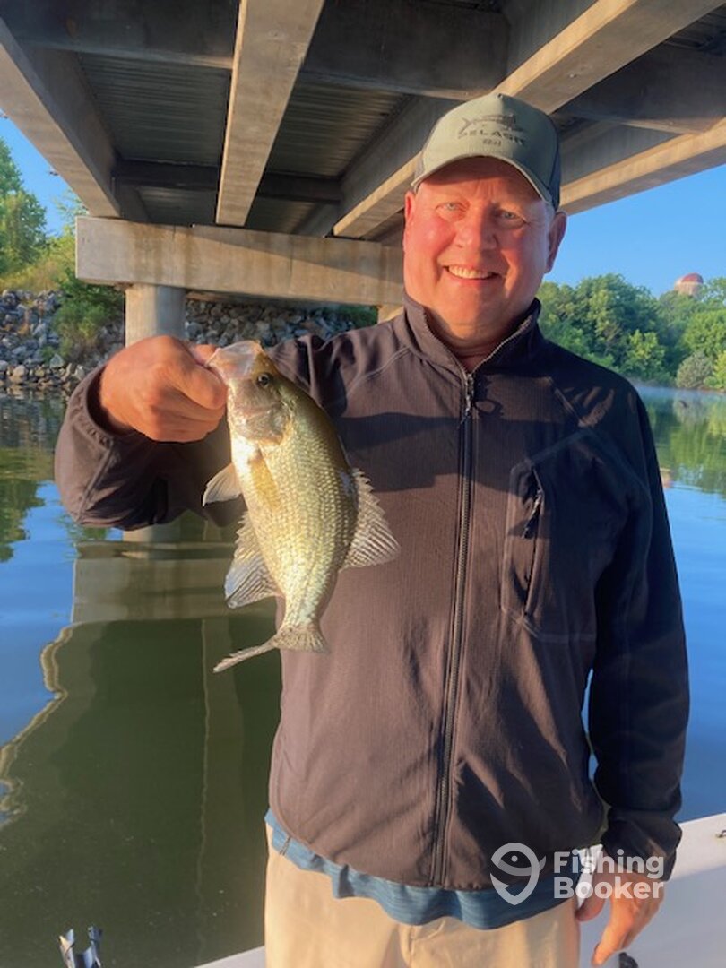 1.5 lb Crappie