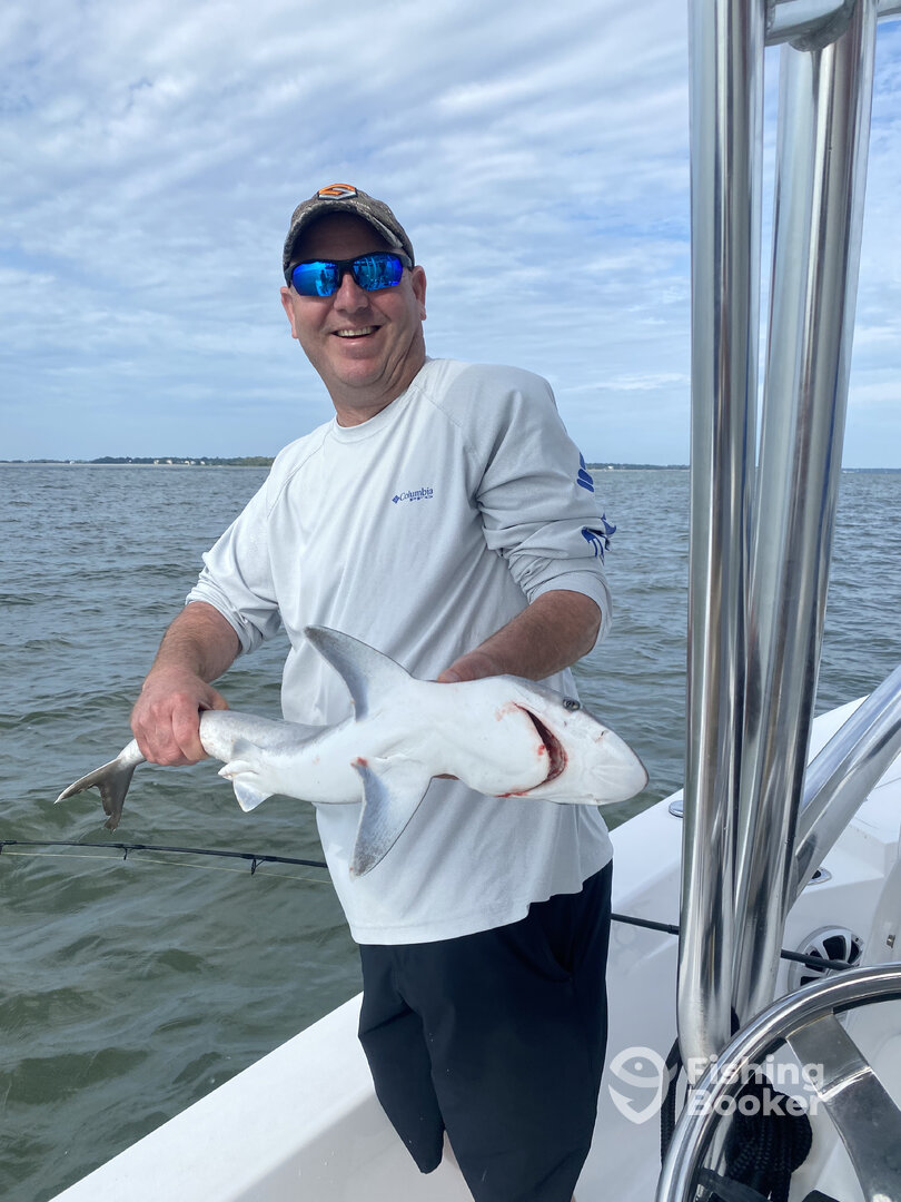 Charleston Report Photo 0