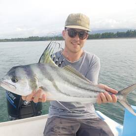 Roosterfish Addiction