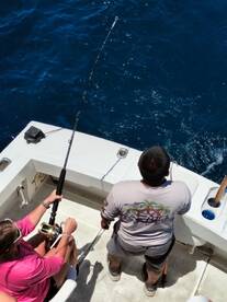 San Jose del Cabo Report Photo 1