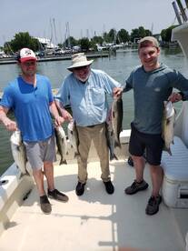 Neavitt Report Photo 2